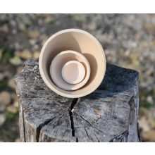 Hungral Armonizator Pentru Spațiul Vital