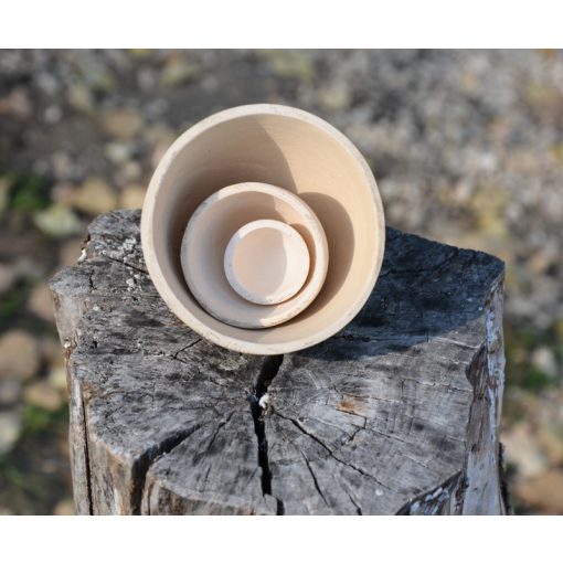 Hungral Armonizator Pentru Spațiul Vital